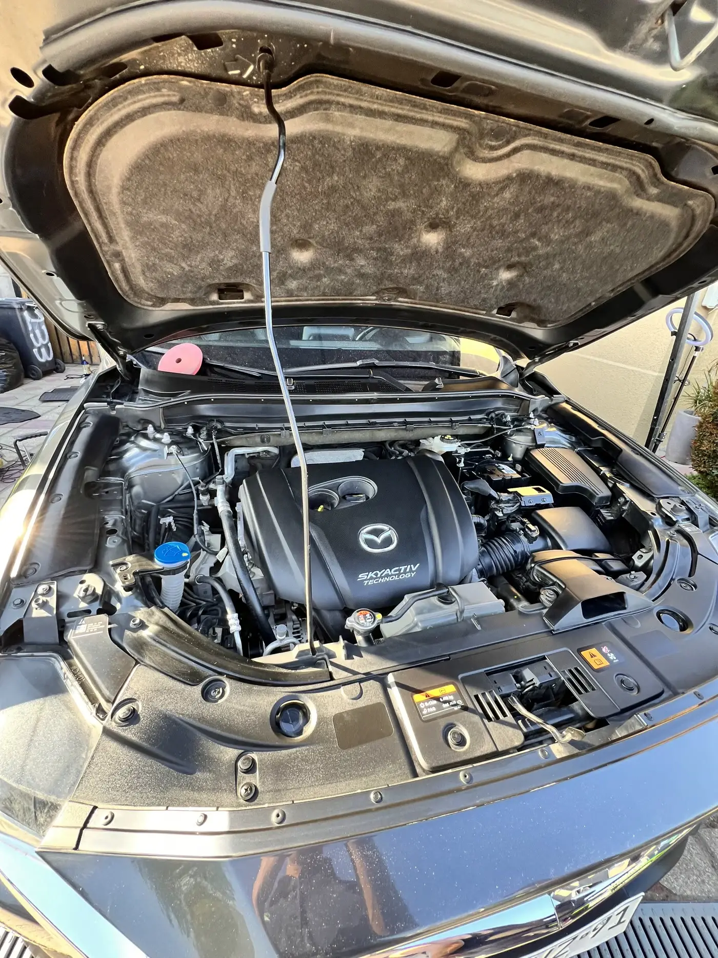 Galería del Detailing de Motor, fotografía 4