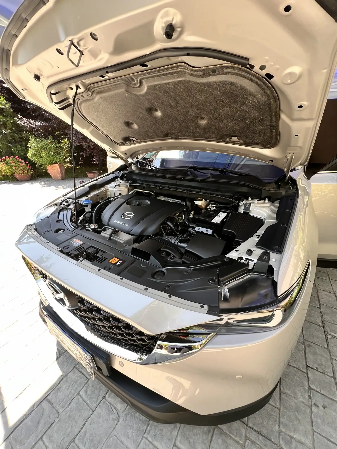 Galería del Detailing de Motor, fotografía 5